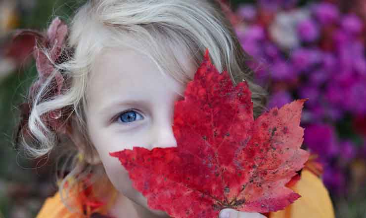 contribuiti a treviglio asili