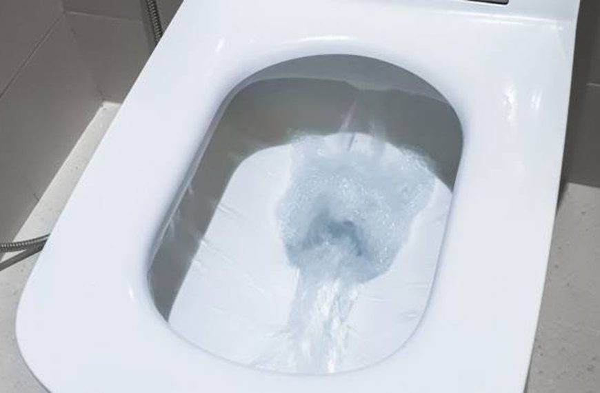 marocchina fa sparire droga nel water a bonate sopra