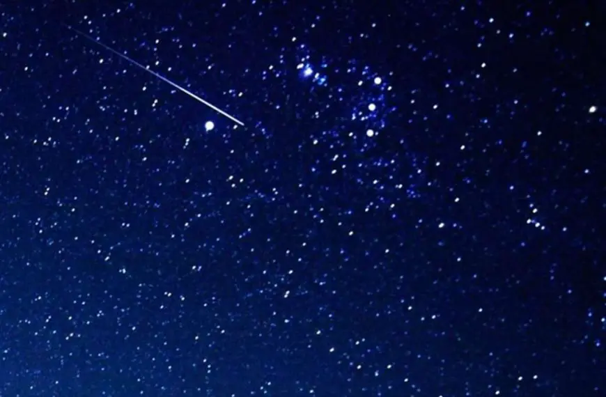 Cene: una notte sotto le stelle. Appuntamento il 1 agosto al Parco Comunale