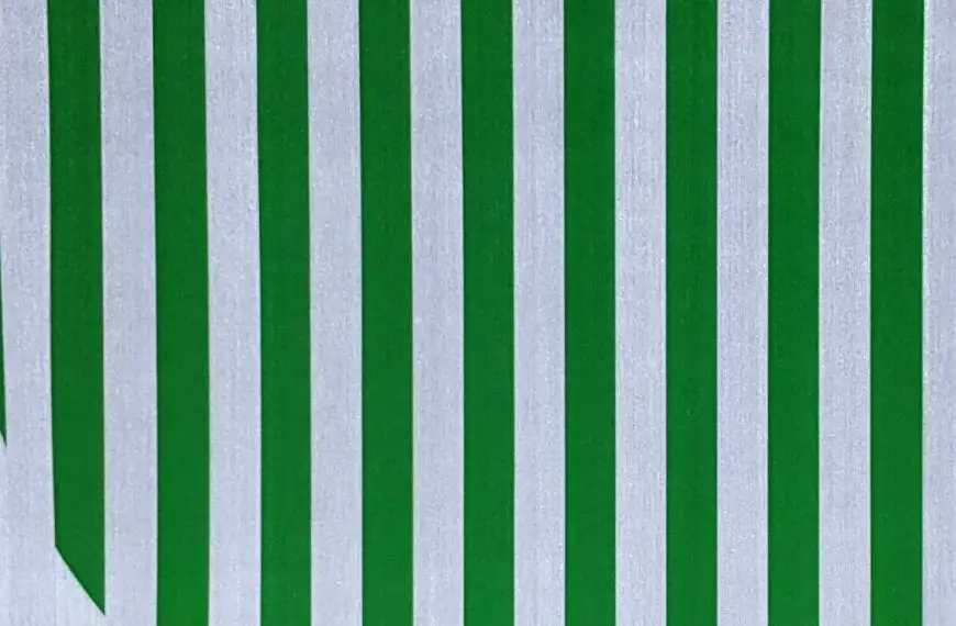 Daniel Buren