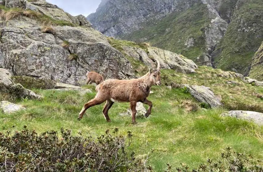 Valbundiù in Valle Seriana
