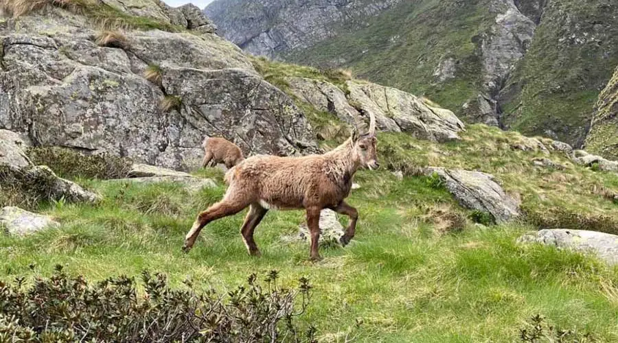 Valbundiù in Valle Seriana