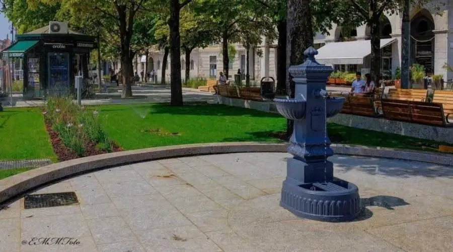 vedovella di Bergamo
