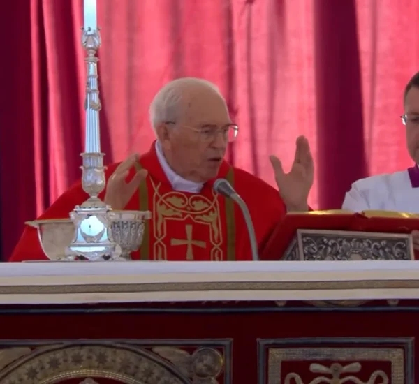 Omelia integrale del Cardinal Re
