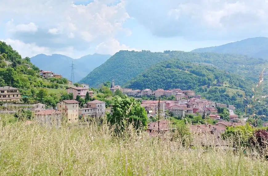 corsa delle oche