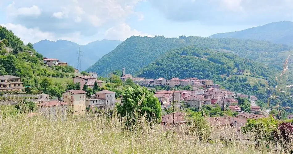 corsa delle oche